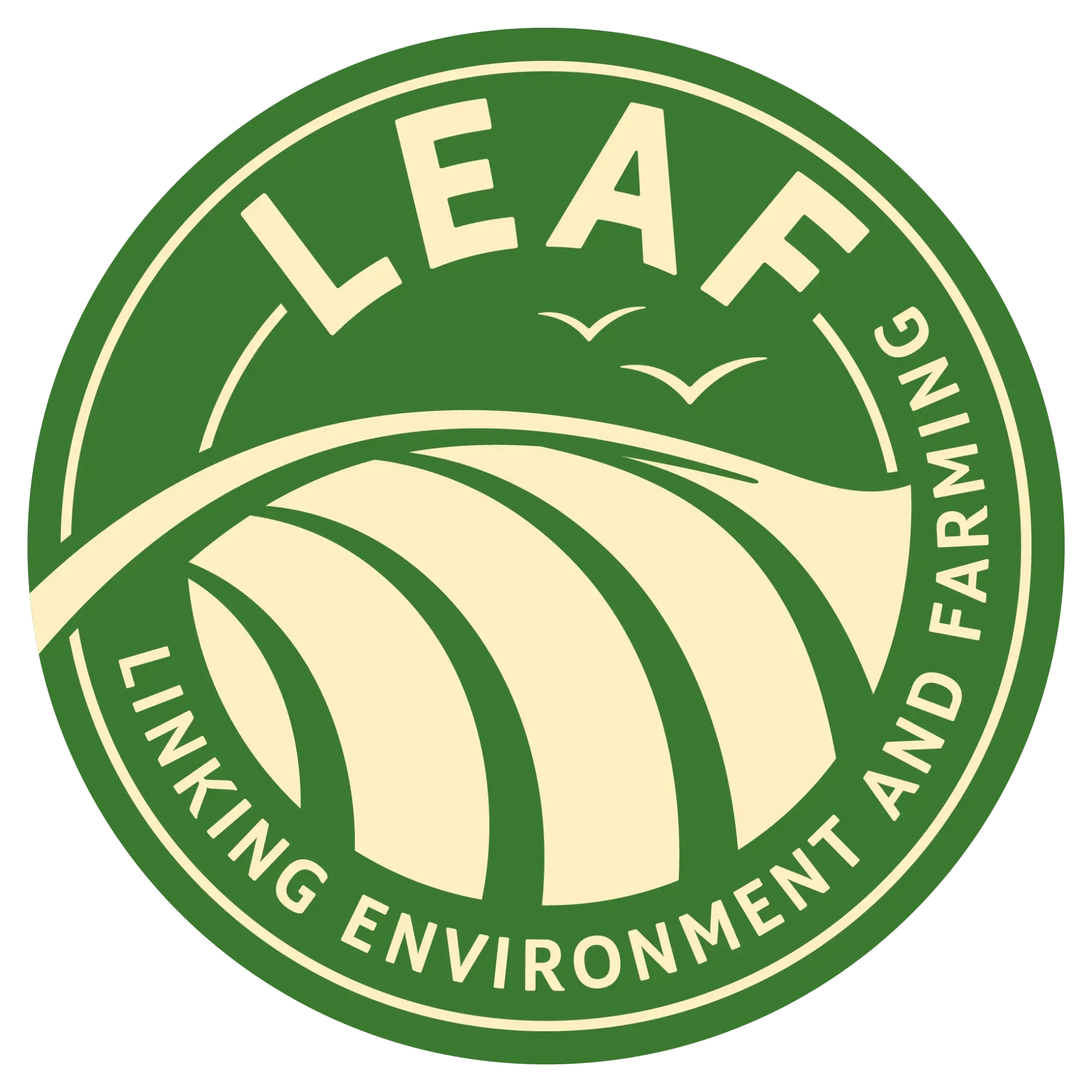 LEAF